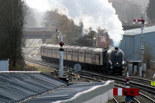 Shrub Hill 16 February 2019 014.JPG