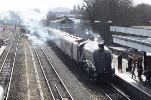 Shrub Hill 16 February 2019 018.JPG