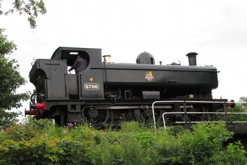 August 12 2010 South Devon Railway and Reading 020.jpg