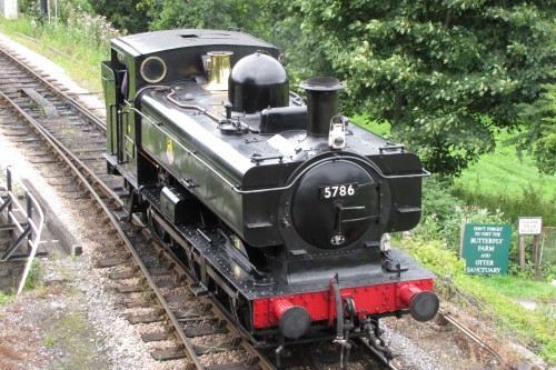 August 12 2010 South Devon Railway and Reading 041.jpg