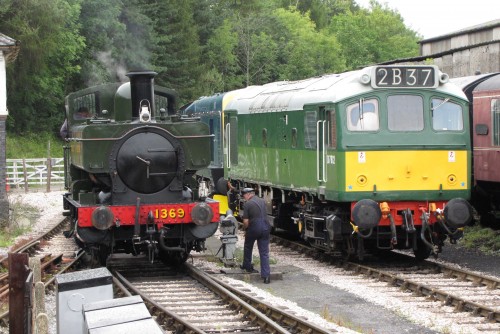 August 23 2011 South Devon Railway 006.jpg
