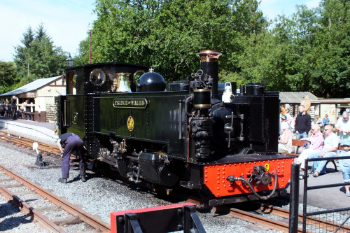 17 August 2016 Vale of Rheidol 018.jpg