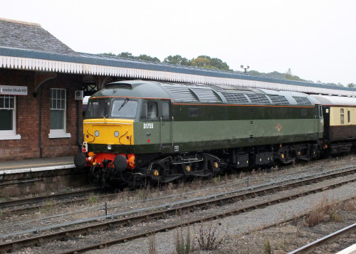 2 Oct 2021 Shrub Hill 022.JPG