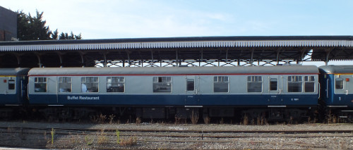 16 Oct 2021 Shrub Hill 023.JPG