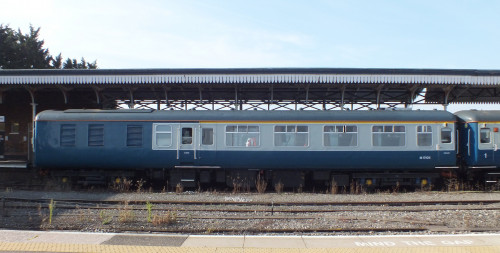 16 Oct 2021 Shrub Hill 024.JPG