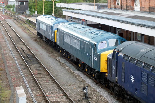 10 May 2022 Shrub Hill 113.JPG