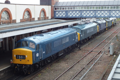 10 May 2022 Shrub Hill 118.JPG