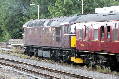 27 August 2022 Shrub Hill 036.JPG