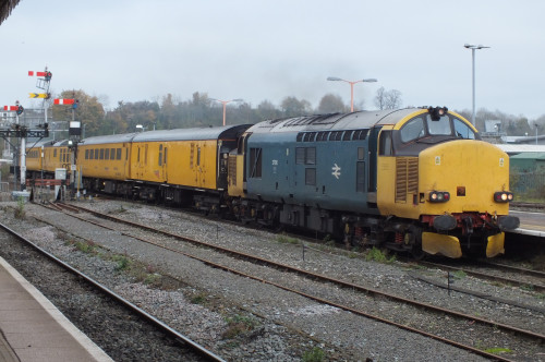 30 Nov 2022 Shrub Hill 015.JPG