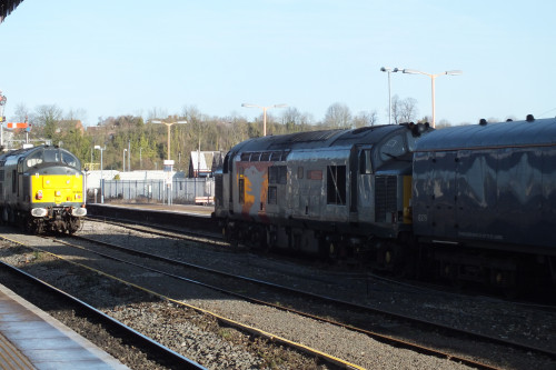 9 Feb 2023 Shrub Hill 13.JPG